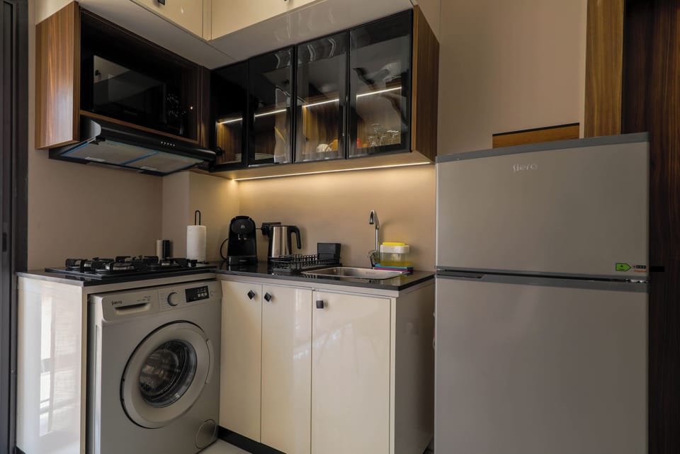 Comfort Apartment, 1 Queen Bed with Sofa bed, Non Smoking, Air conditioning | Private kitchenette | Full-size fridge, microwave, oven, stovetop