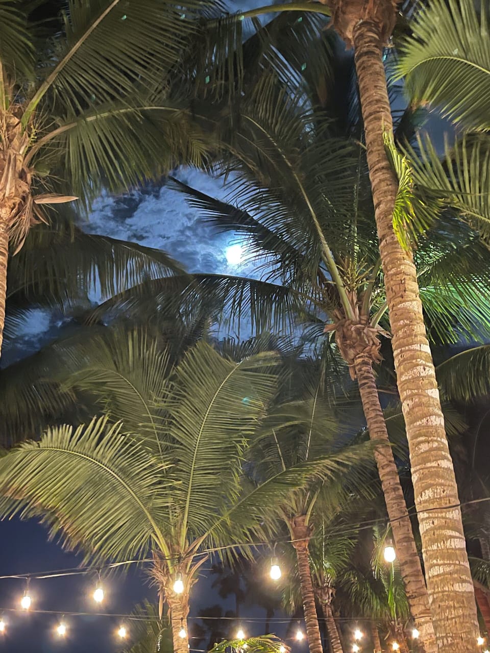 Moonrise at Square Grouper in Jupiter