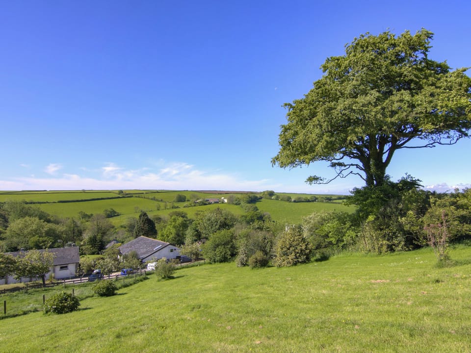 Dog exercise field | Linney Cottage - Fox Valley Cottages, Looe