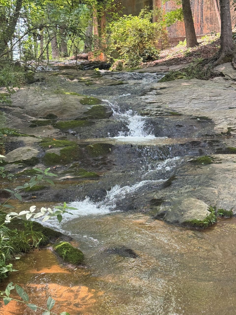 Enjoy a walk/hike on our trail to the Beautiful waterfall on the property.