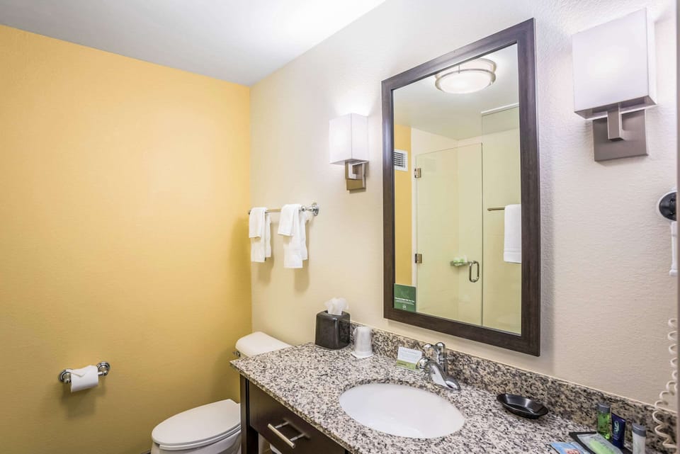 Room, 1 King Bed | Bathroom | Hair dryer, towels