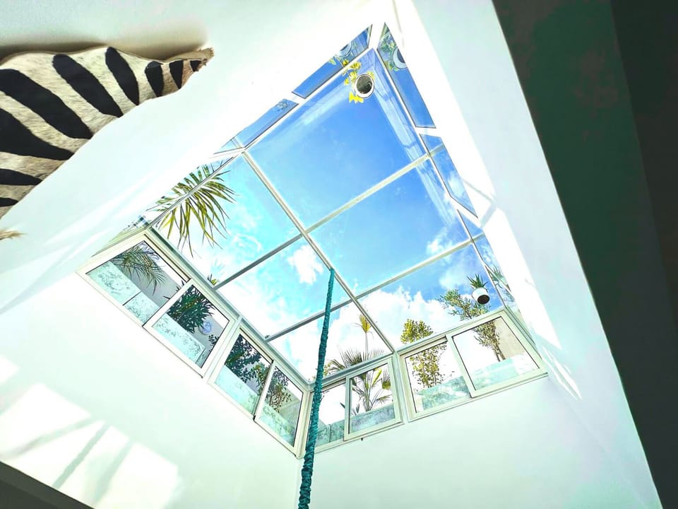 House ceiling creating a warm and inviting ambiance throughout the day