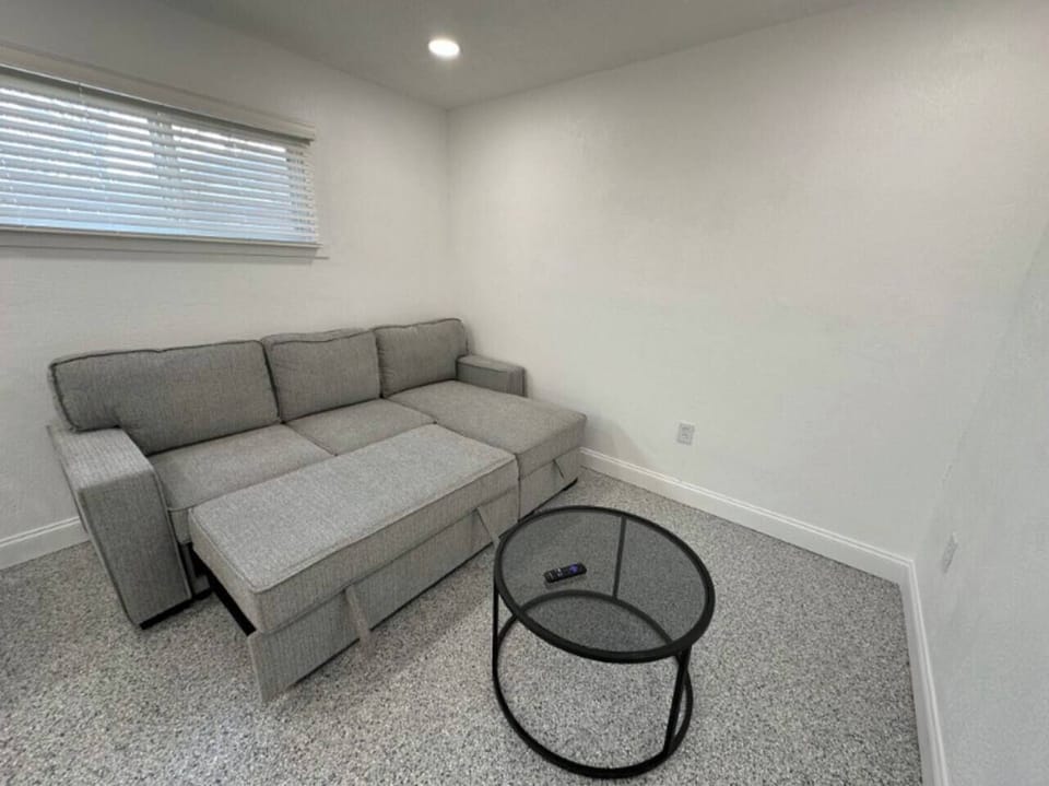 sofa that pulls out to a bed. 