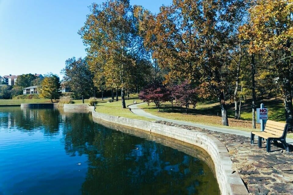 Your daily dose of calm: a bench, a breeze, and beautiful reflections