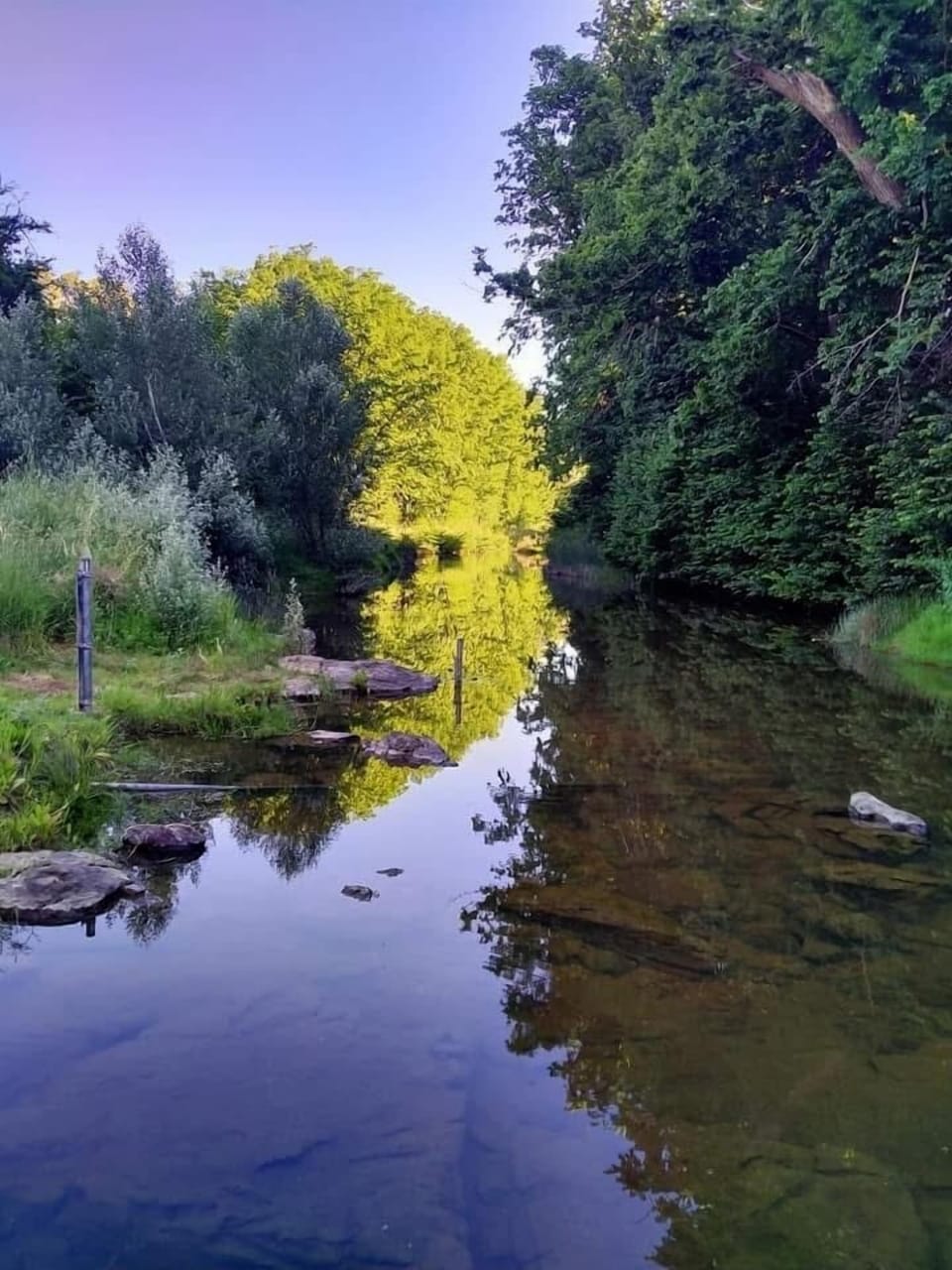 Creek walk