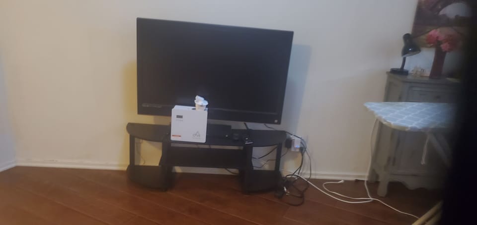 Television