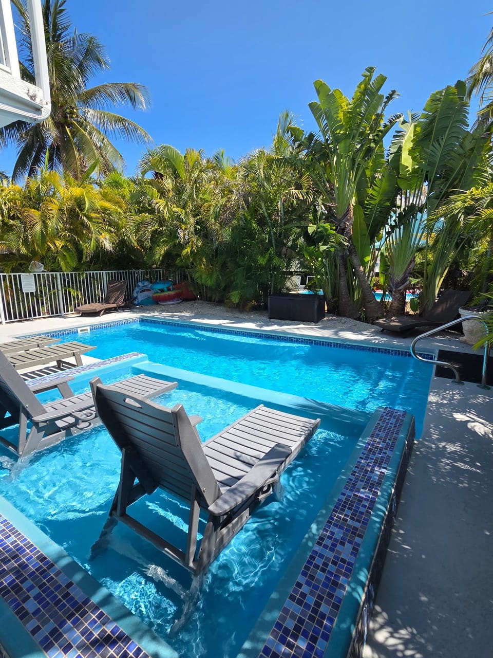 Private pool, tanning ledge, sun loungers, surrounded by palm trees for privacy.