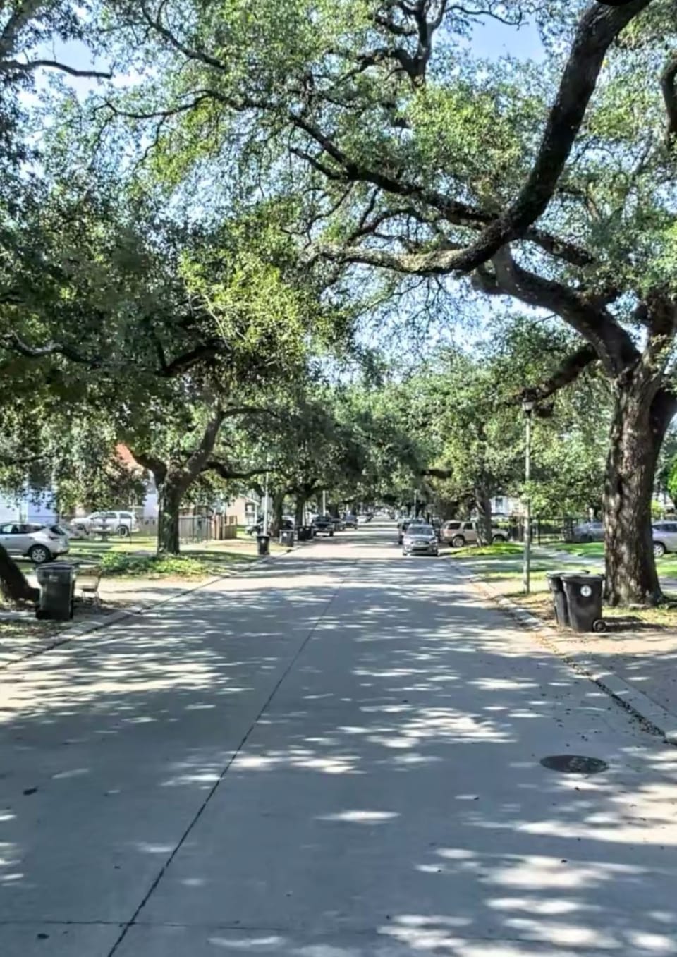 A view of the neighborhood.