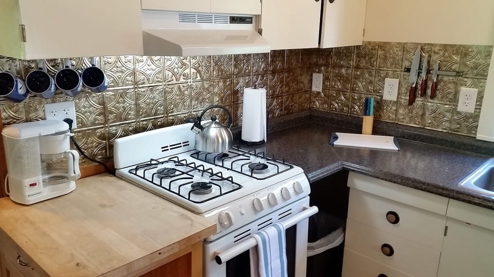 Gas stove, microwave and fridge - water is drinkable