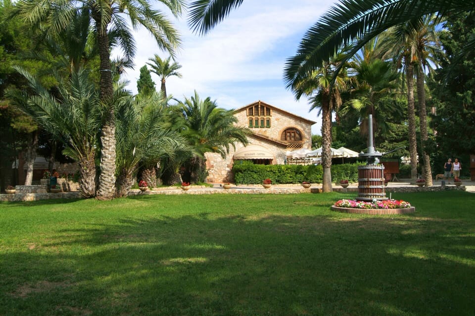 Chalet | Property grounds