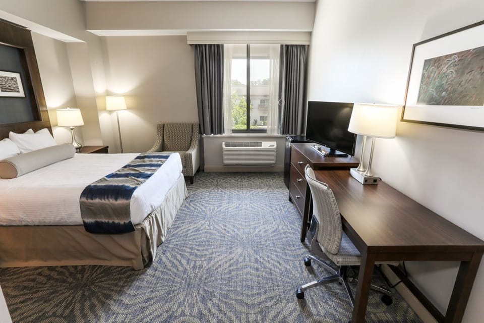 Comfortable guest room with a plush bed, work desk, and large window for natural light.