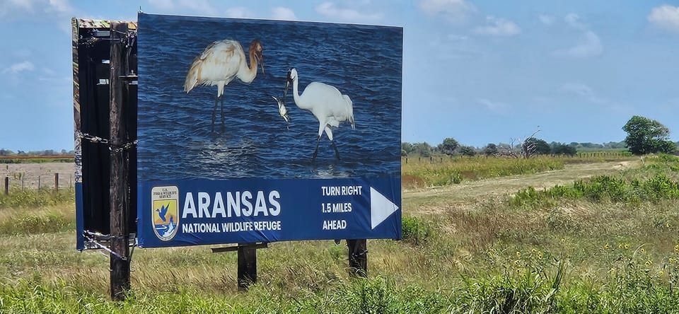 Aransas National Wildlife Refuge just a 15 minute drive 🦌 