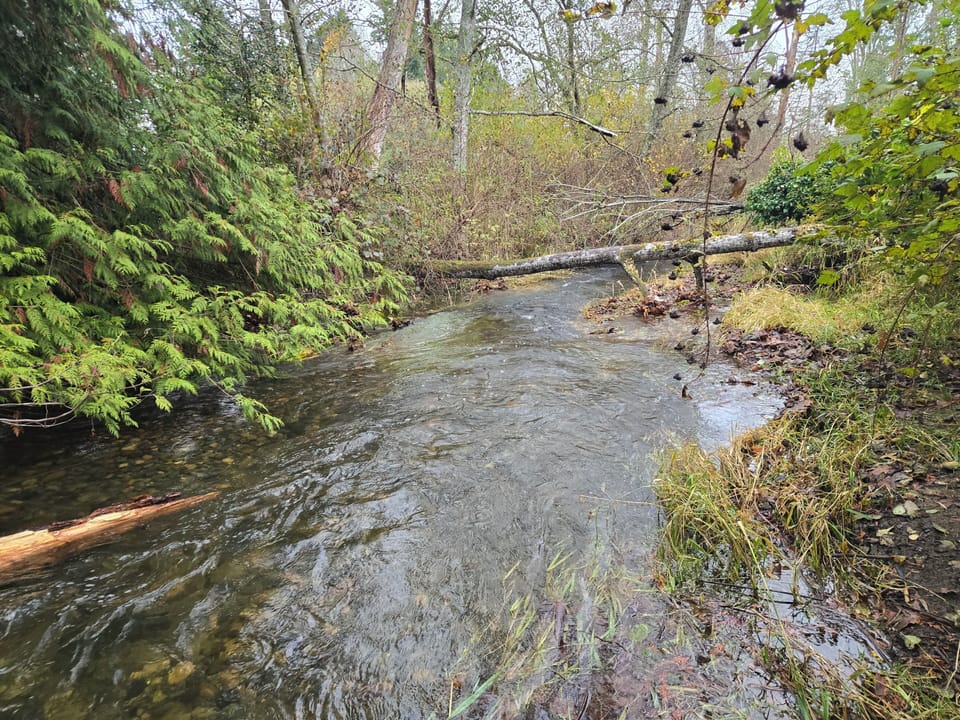 Nanoose Creek passes in the property. Free to enjoy scenery 