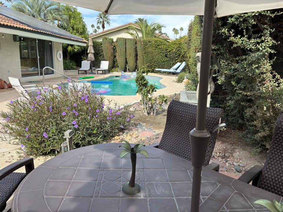 Wonderful private backyard with deep pool and plenty of loungers and seating.