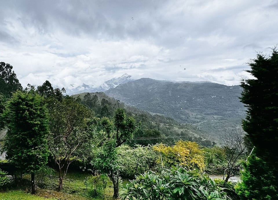 Garden view