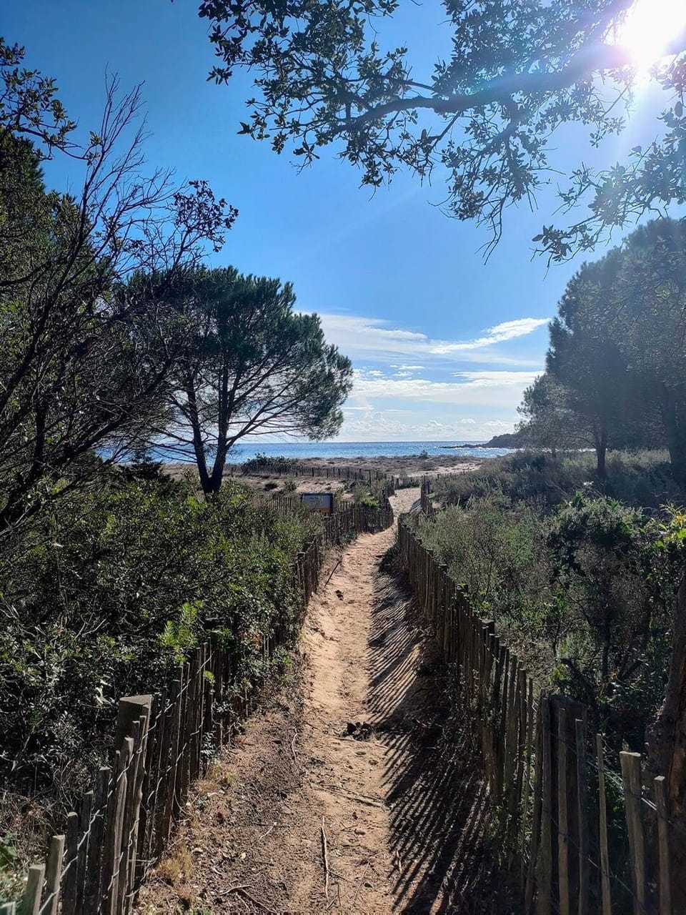 original_03e3fe0f-8b6d-4229-a6e2-5f1f61fb64c6_IMG20221120115319