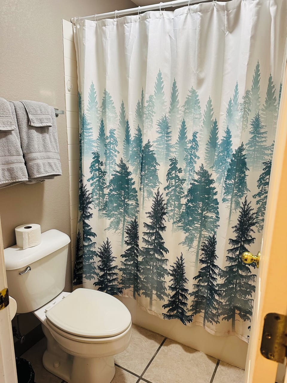 Combined shower/tub, hair dryer, towels, soap