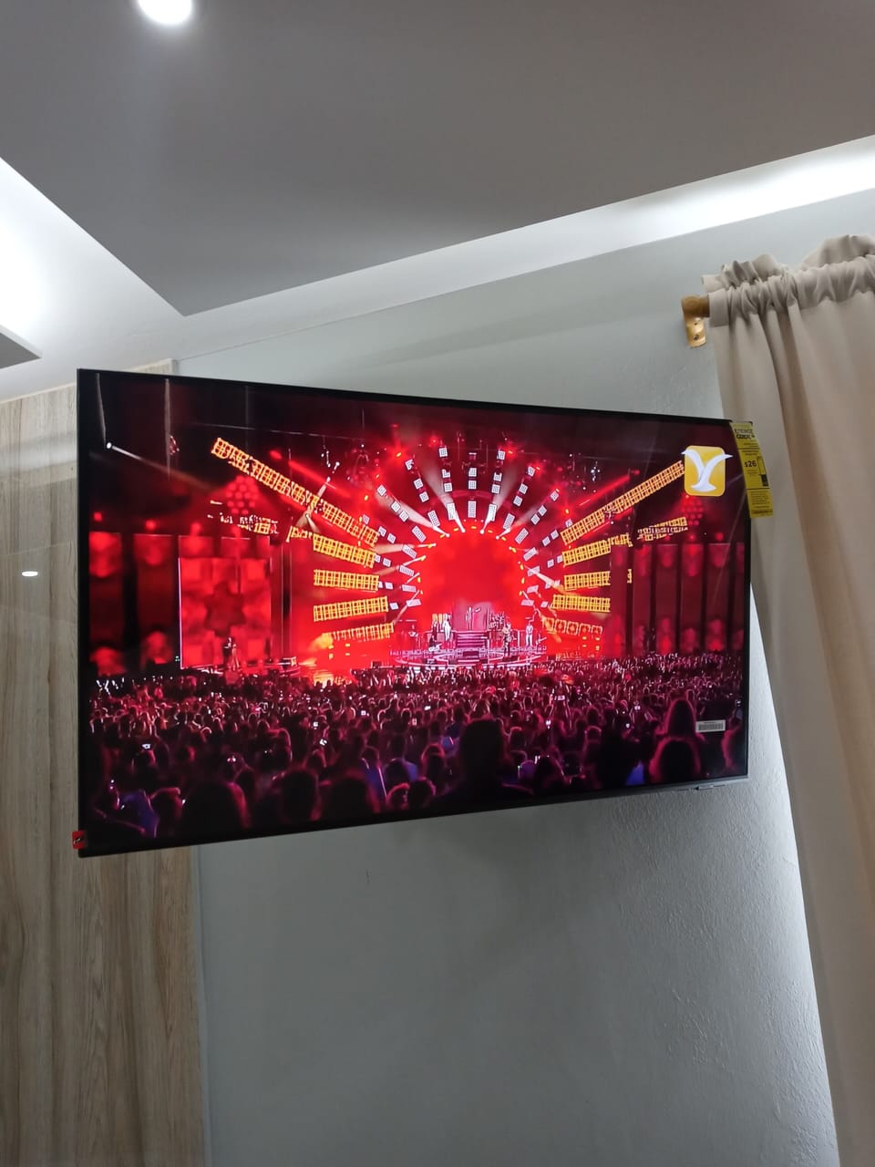 Television
