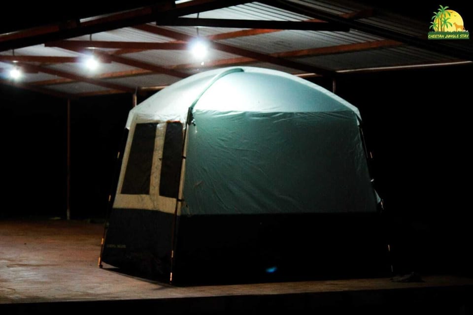 Pitching Tent | Free WiFi