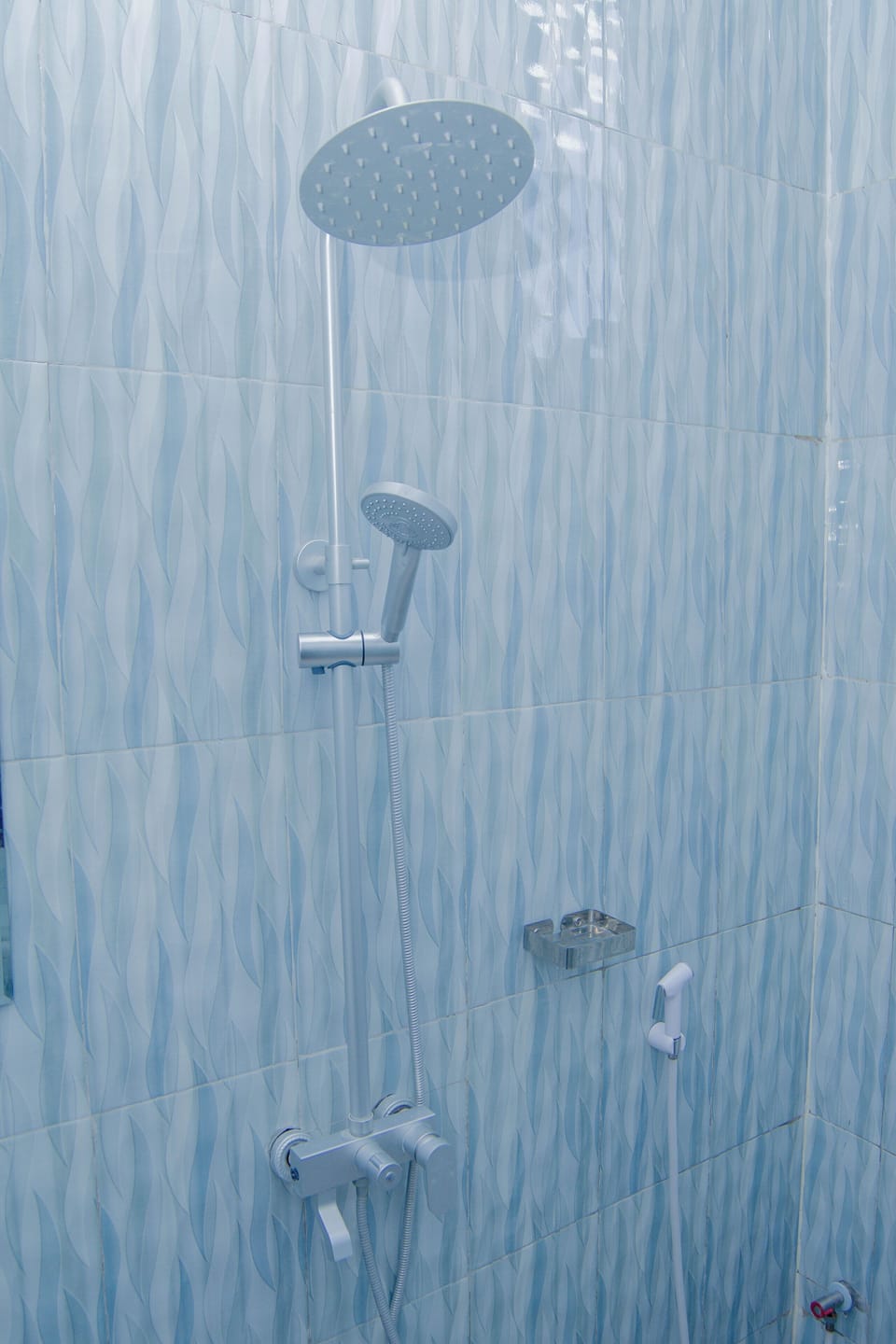 Deluxe Double Room, Non Smoking | Bathroom shower