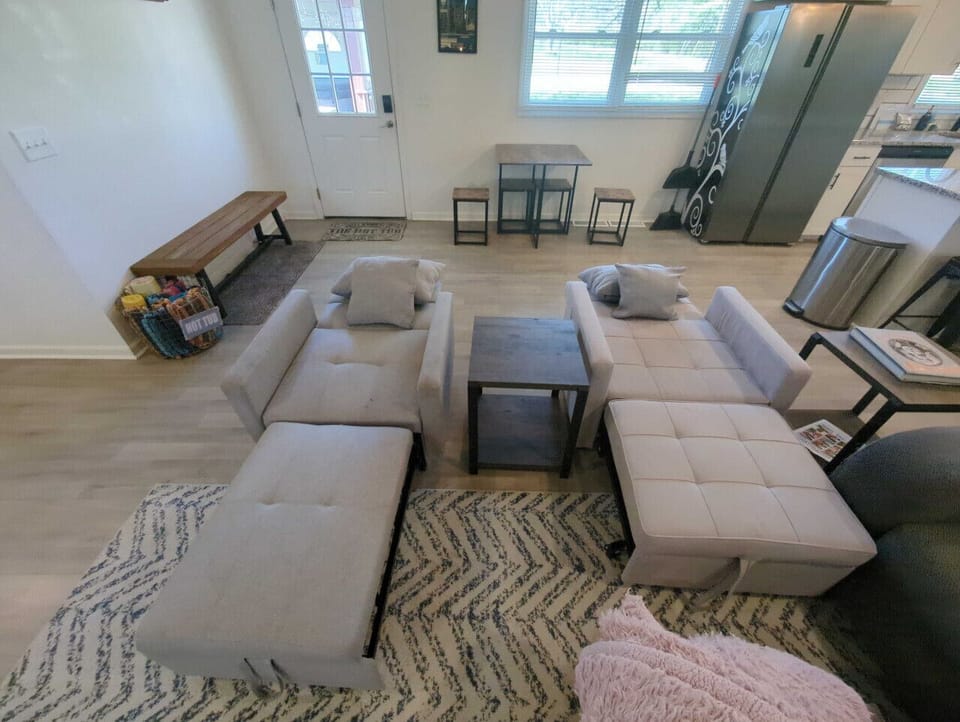 Living Room - 2 Single Sleeper Couches