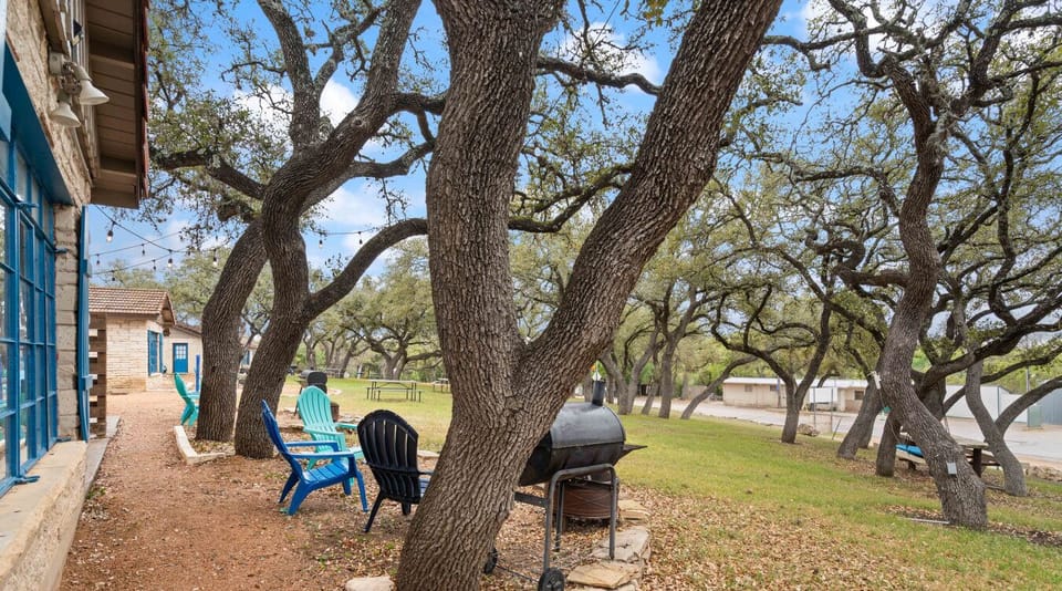 Treehouse vibes, ground-level fun.