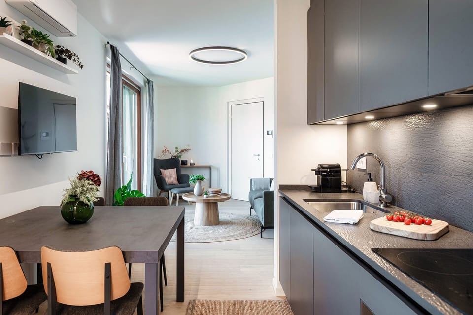 Apartment, Lake View | Private kitchen | Full-size fridge, oven, stovetop, dishwasher