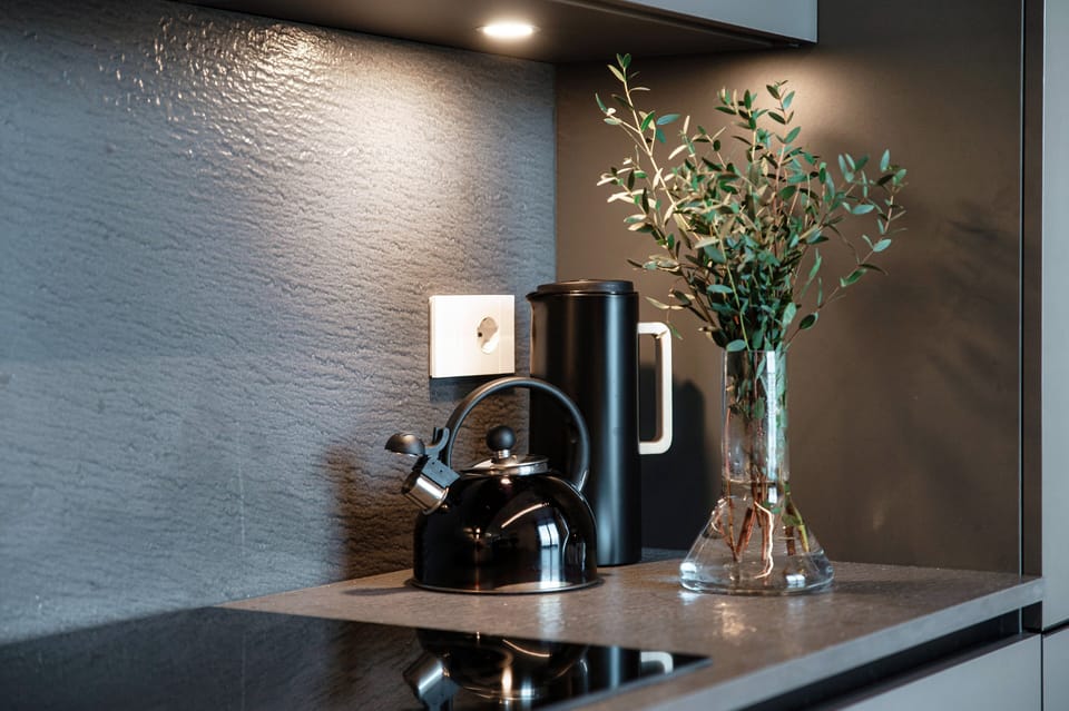 Apartment, Lake View | Private kitchen | Full-size fridge, oven, stovetop, dishwasher