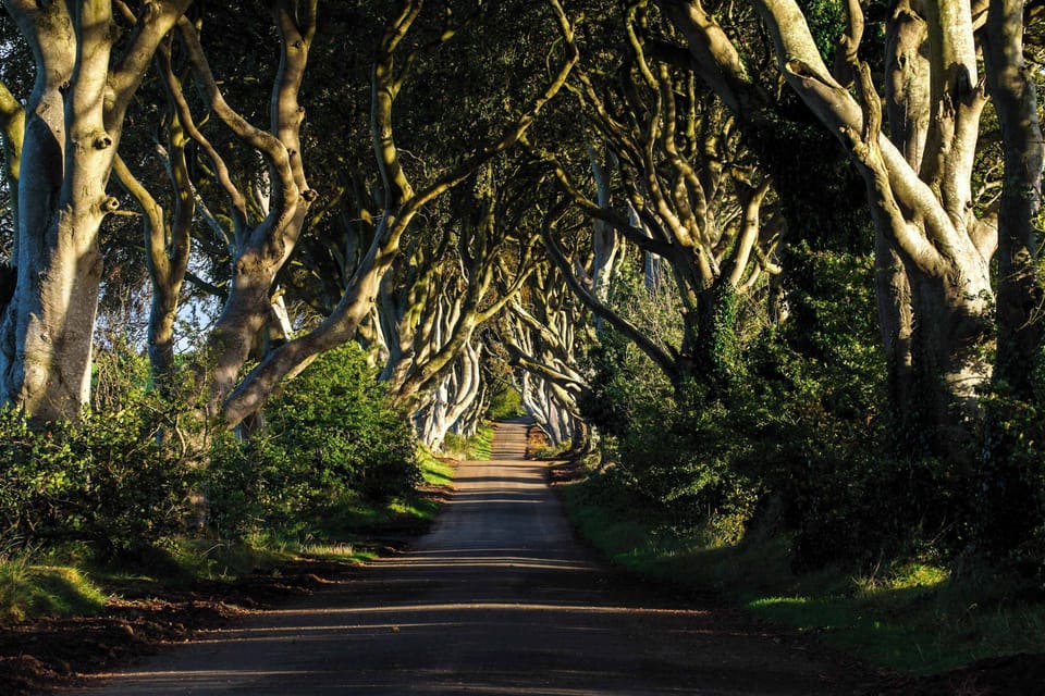 Take a tour of the 'Dark Hedges' of Game of Thrones fame