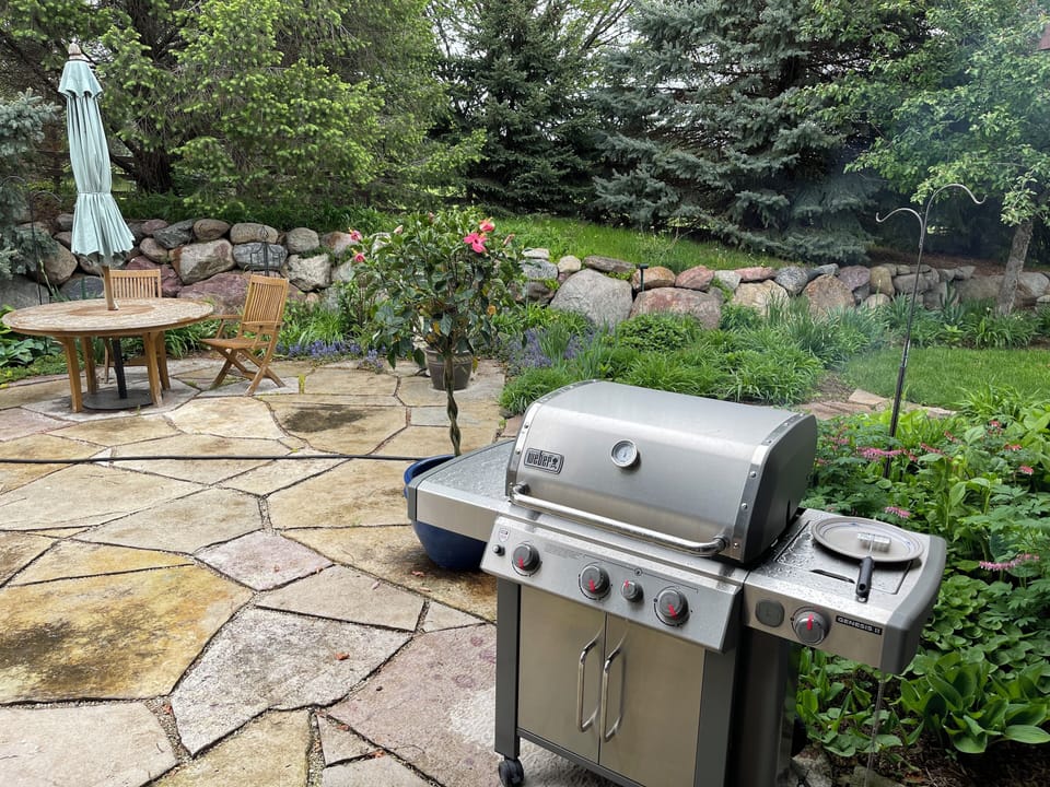 Weber Gas Grill 