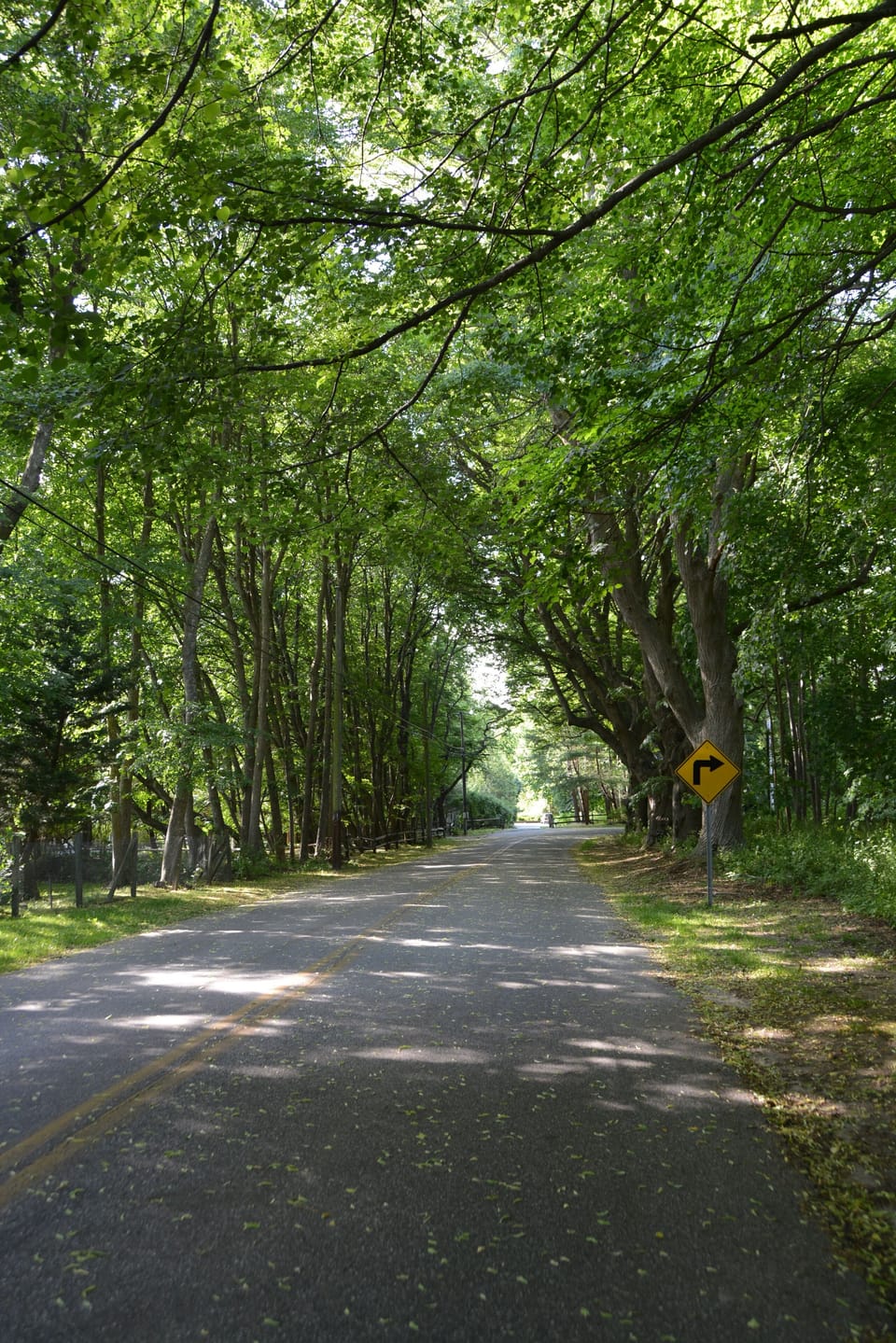 SHADY RIDE DOWN ROCKY POINT ROAD TO HOUSE