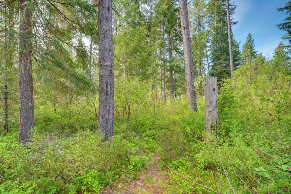 Surrounding Area