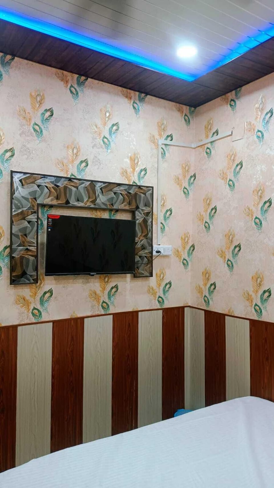 Television