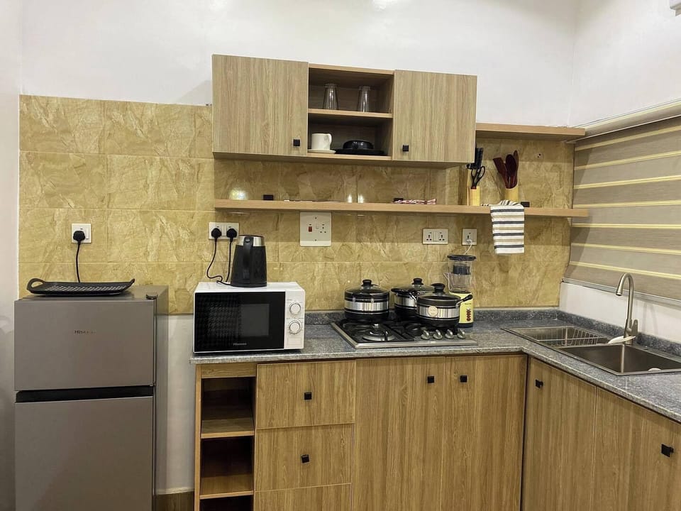 Luxury Apartment, Balcony, City View | Private kitchen | Fridge, microwave, oven, stovetop