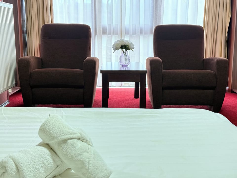 Standard Double Room, City View | Free WiFi