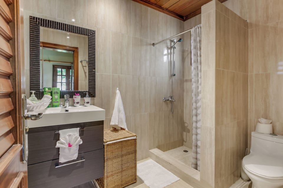 Two Luxury Villas in Cocotal for Large Groups – With Jacuzzi, Pools, Gym Villa in Punta Cana
