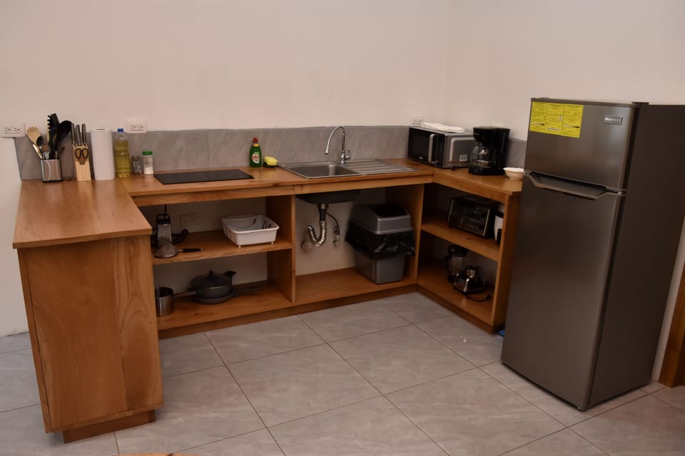 Comfort Apartment, Balcony, Mountain View | Private kitchen | Fridge, microwave, oven, stovetop