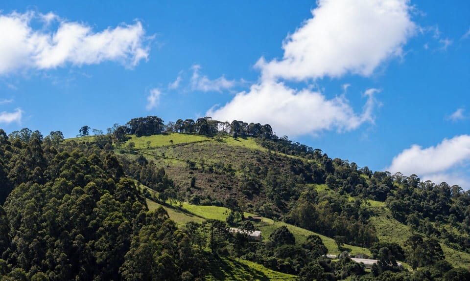 Mountain view