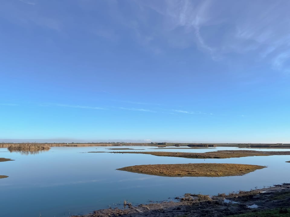Surrounding area | Normandy, Wyberton