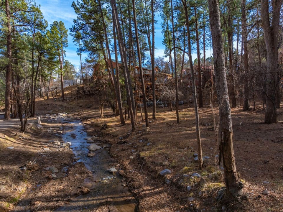 The Rio River!  This river flows all the time, and the property sits right up on it!  Walk down to the river and enjoy some exploring!