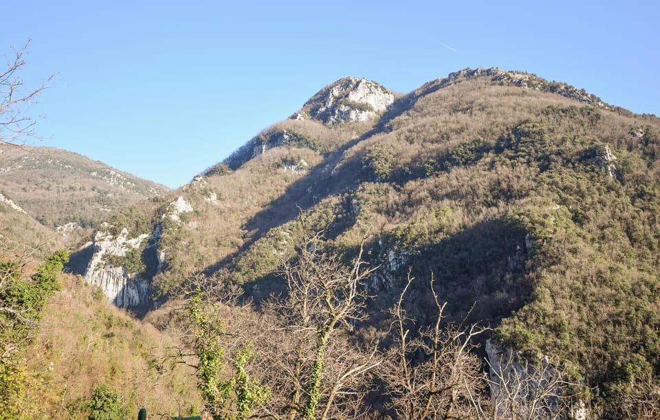 area