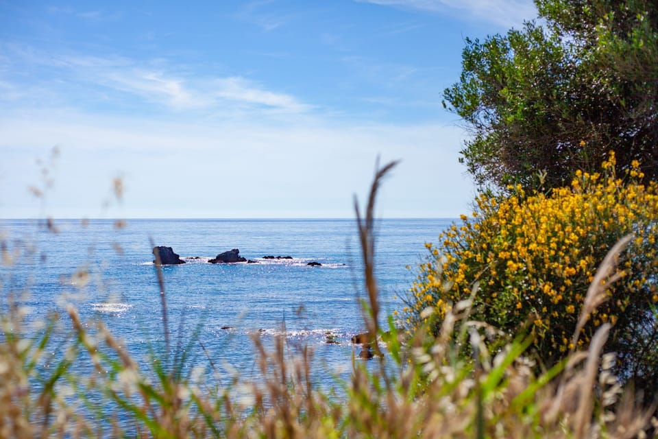 Discover majestic sceneries all over the Island
