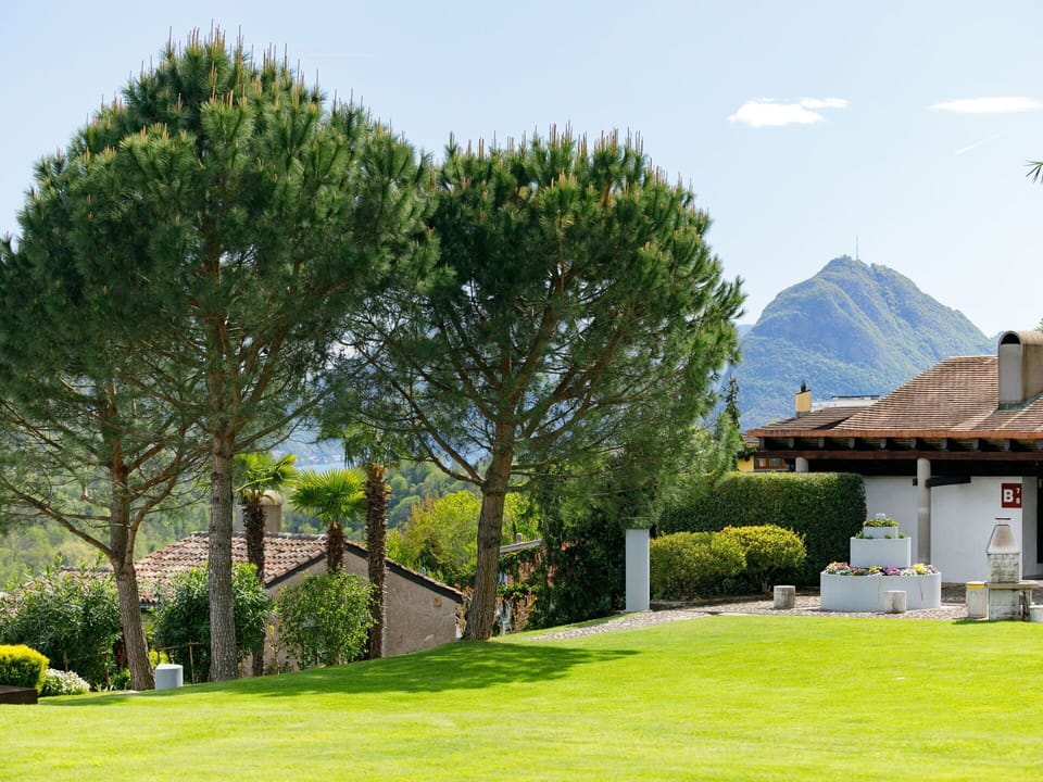 Tree, Landscape, Land Lot, Garden, Lawn, Woody Plant, Shade, Landscaping, Park, Yard