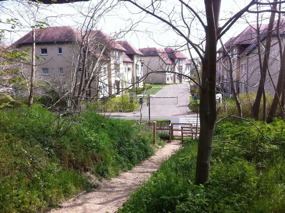 Cottage, Village, Suburb, Yard, Backyard, Trail