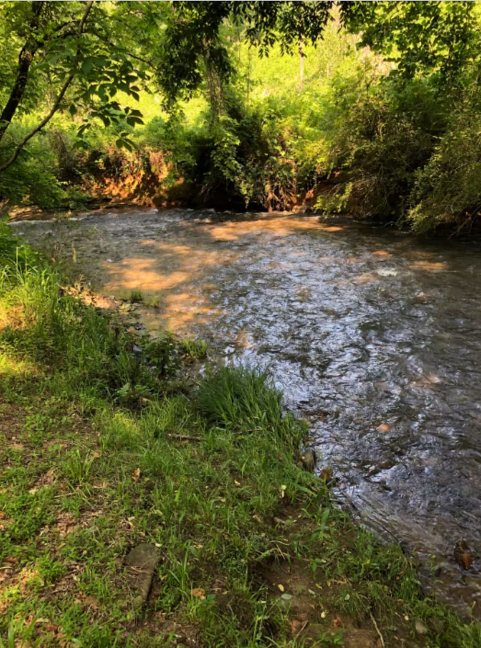 Clear mountain creek flowing through a wooded section of the property with natural shoreline vegetation. Scenic water feature at this Bryson City cabin in the Smoky Mountains.