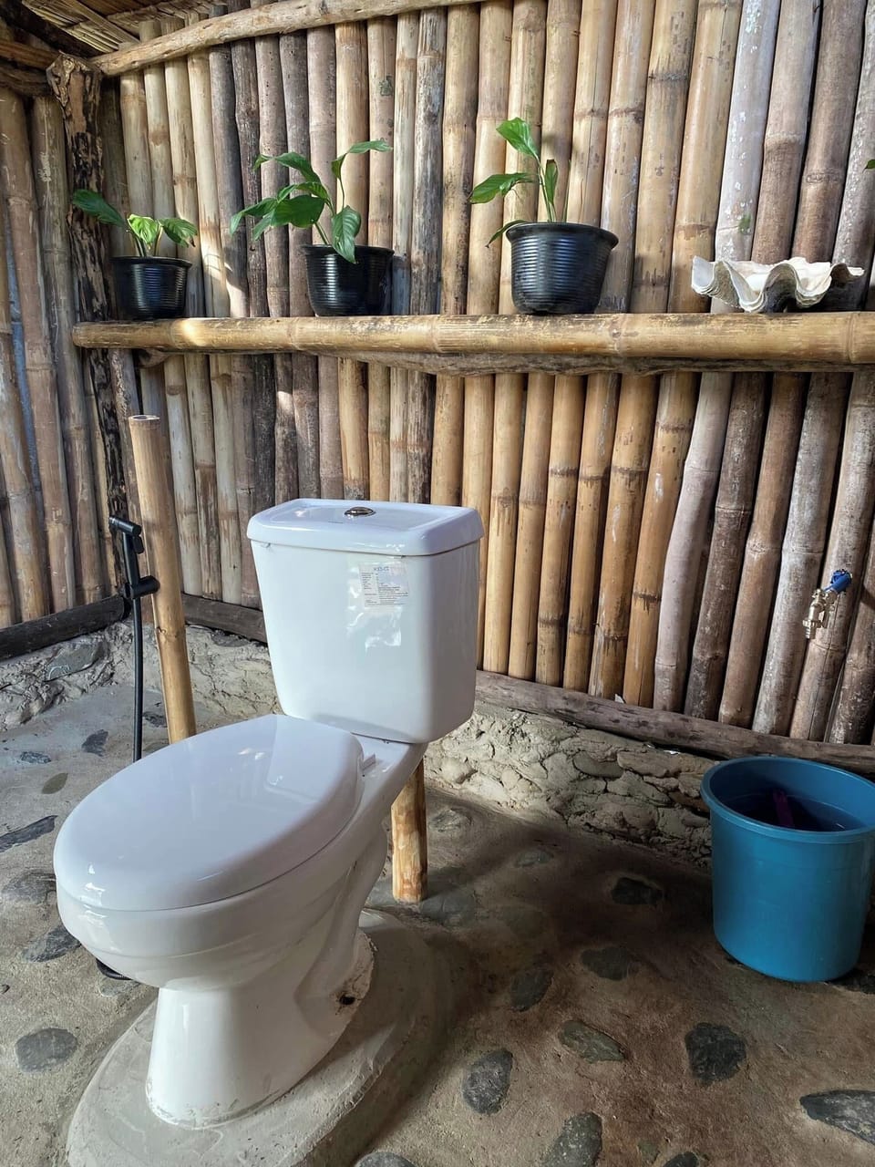 Shower, bidet, soap, toilet paper