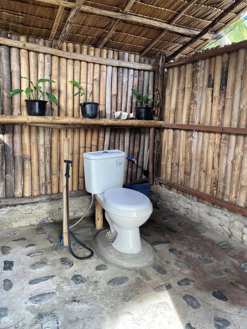 Shower, bidet, soap, toilet paper