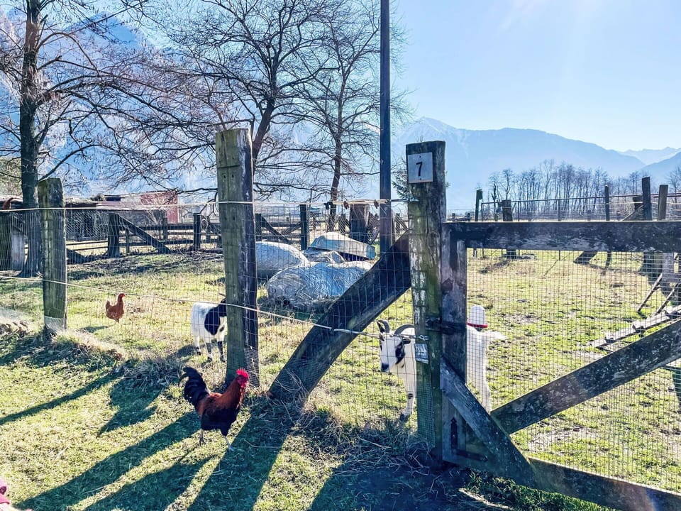 Swimming Pool, Resort, Apartment, Hotel, Mansion, Villa, Shade, Hacienda, Resort Town