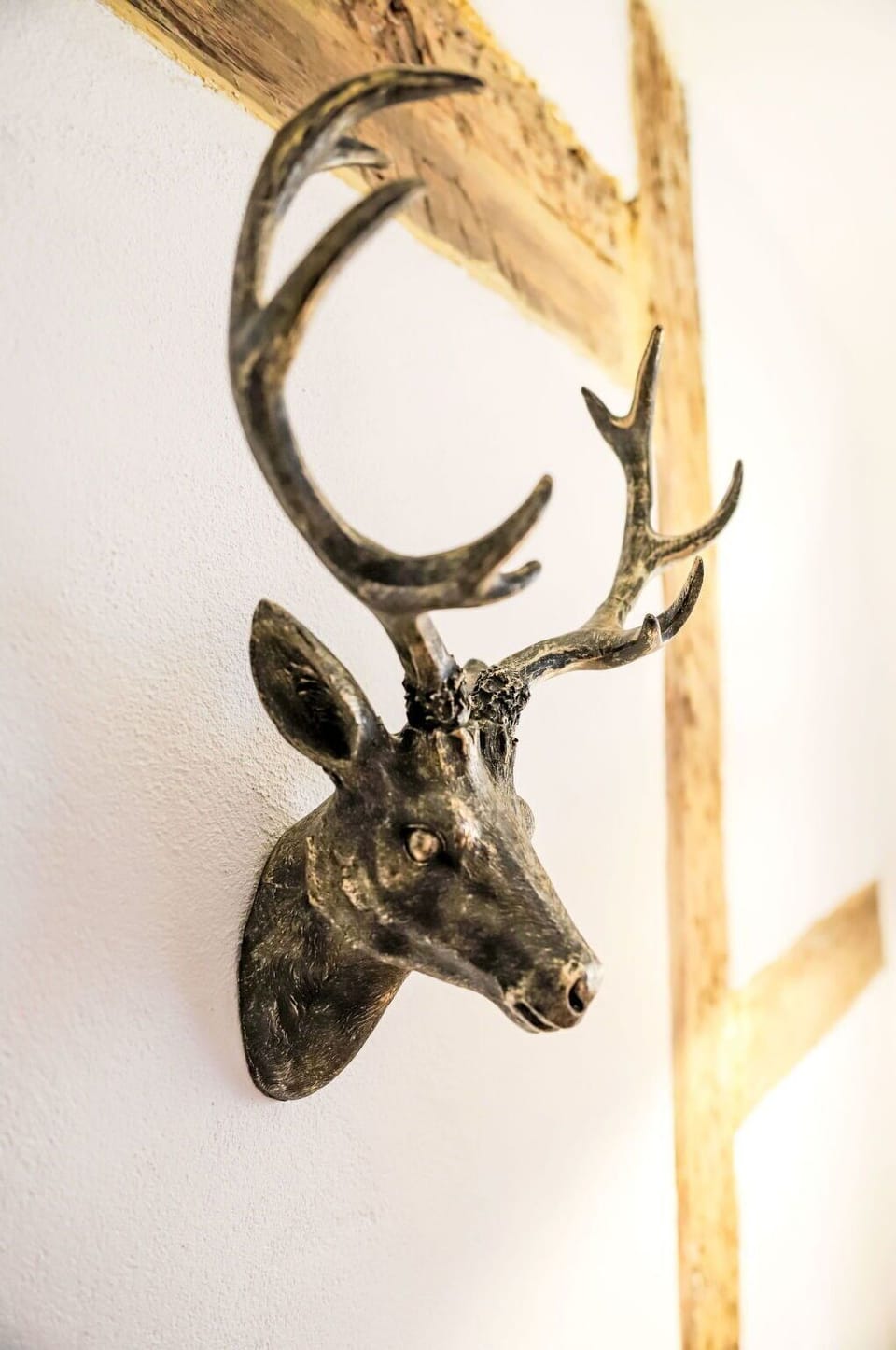 Antler, Horn, Reindeer, Deer, Natural Material, Metal, Elk, Brass