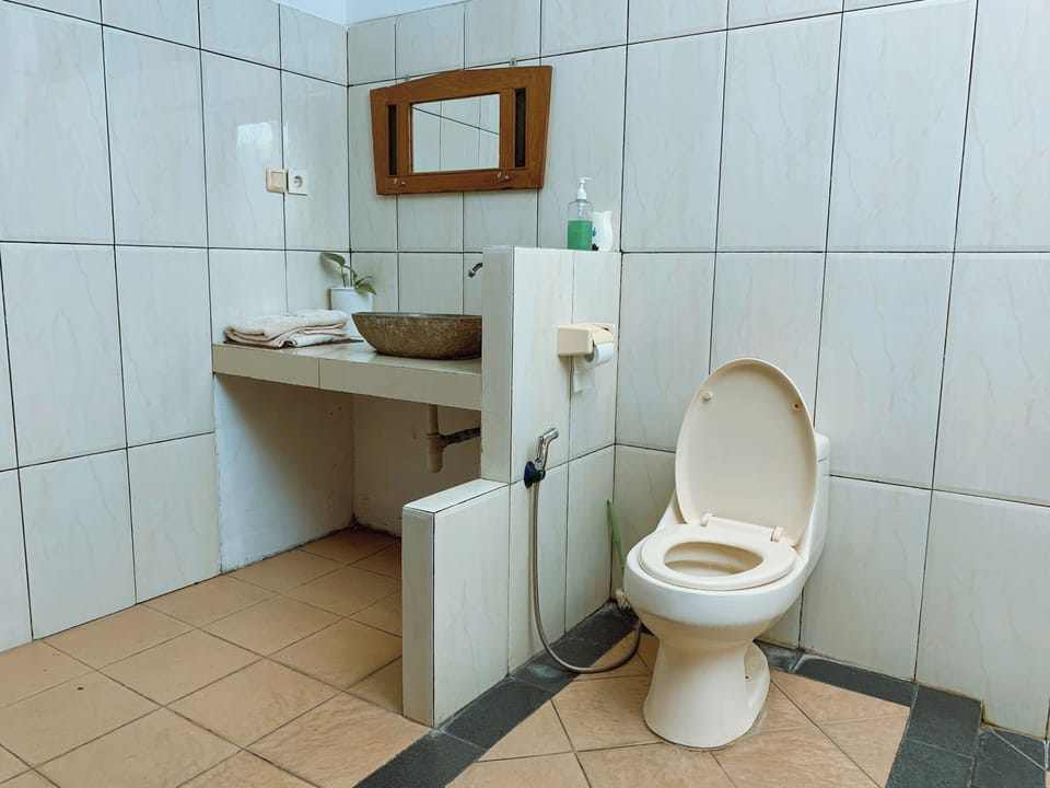 Deluxe Suite | Bathroom | Shower, free toiletries, towels, soap